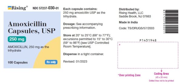 Amoxicillin Capsules 250mg, 100 Bottle